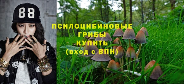 spice Горняк