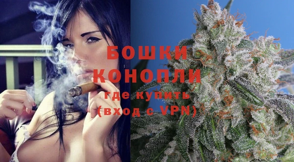 гидра Володарск